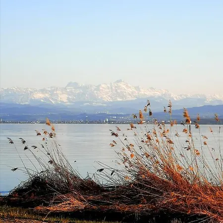 Bodensee *