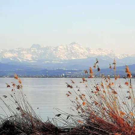 Bodensee *
